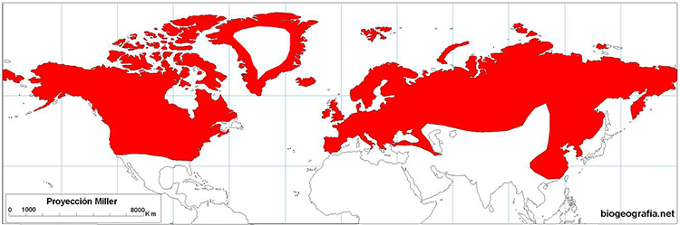 Mapa de distribución continua del Equisetum arvense