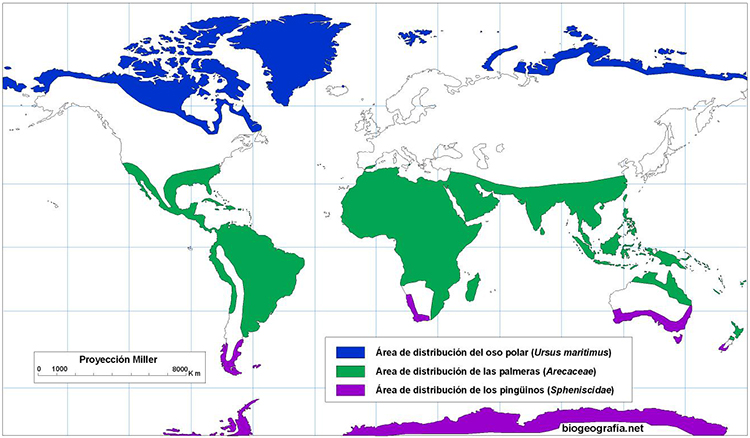 Mapa de distribución de osos, palmeras y pingüinos