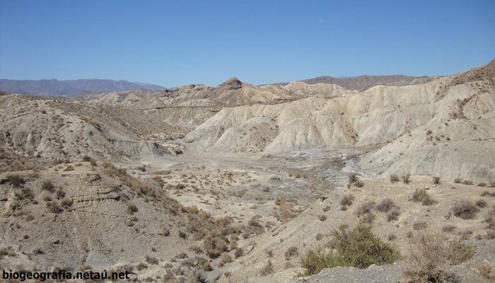 Desierto de Tabernas