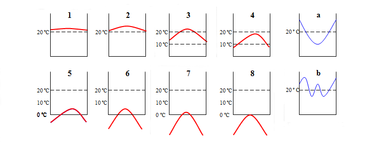 Tipos de curvas según Walter