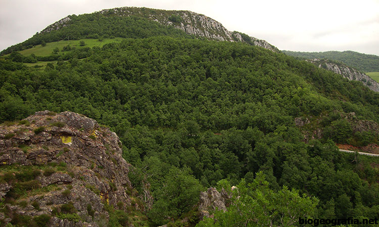 Mirador de Ariztokia