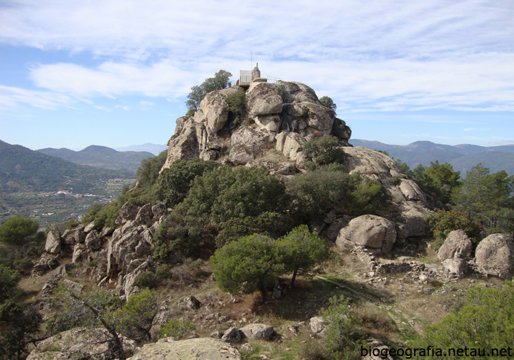 Encinas en Cadalso de los Vidrios