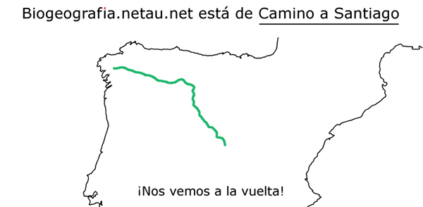 Camino de Santiago