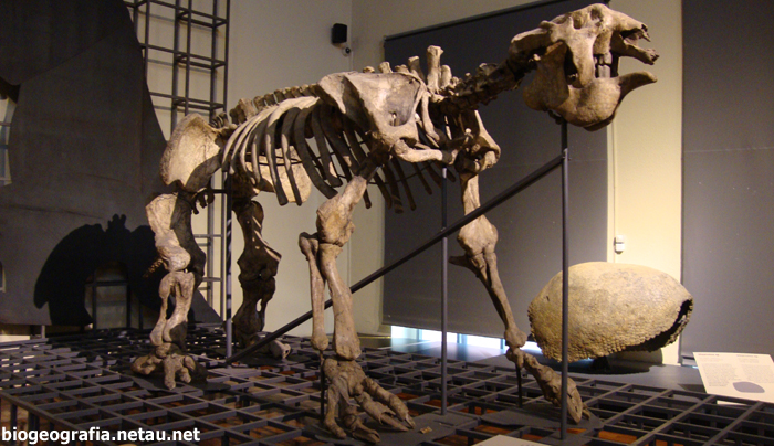 Megatherium