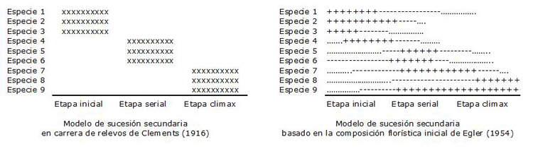 Modelos de sucesión de Clements y Egler