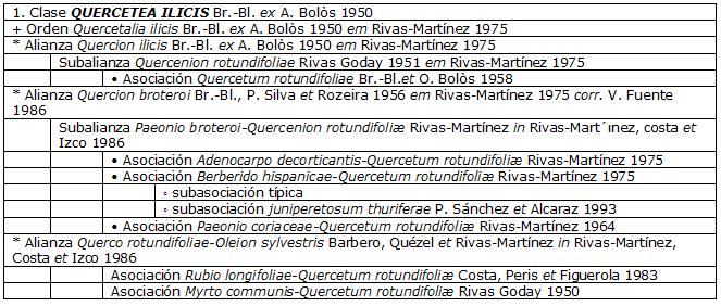 Esquema sintaxonómico de la clase Querceta ilicis