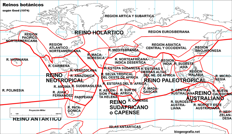 Reinos fitogeográficos de Good