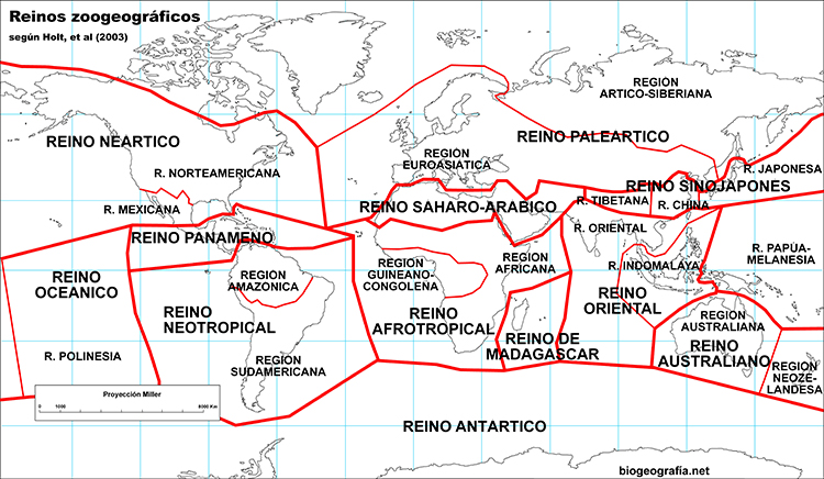 Clasificación zoogeográfica de Holt