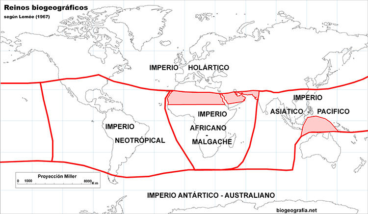 Imperios florísticos y faunísticos según Lemée