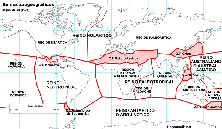 Mapa de reinos zoogeográficos de Müller