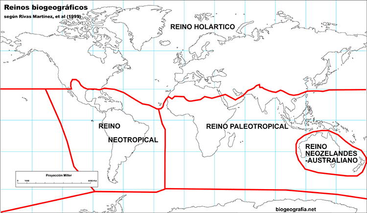 Reinos de Rivas-Martínez et al