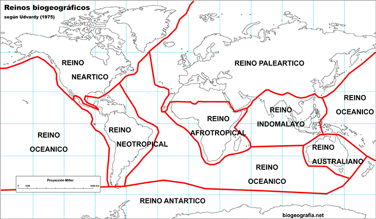 División biogeográfica de Udvardy