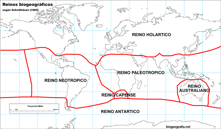 Reinos biogeográficos de Schmithüsen