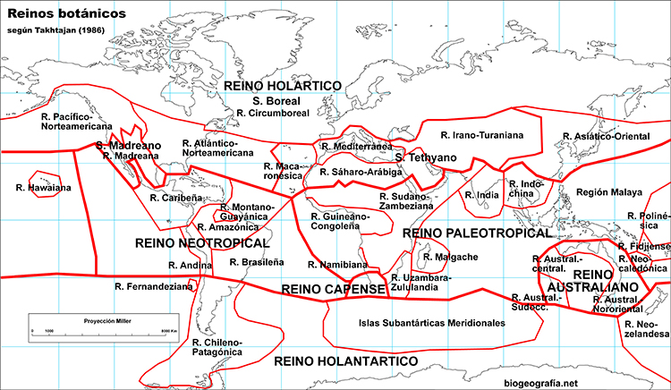 Mapa fitogeográfico de Takhtajan