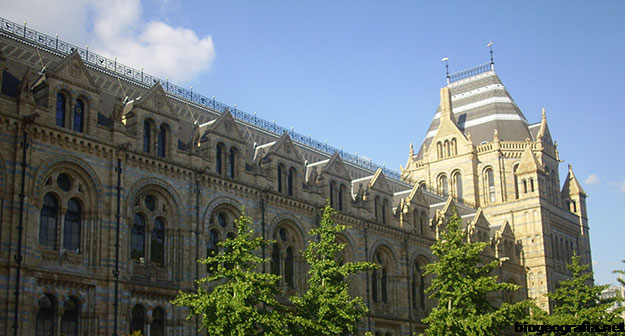 Museo de Historia Natural de Londres