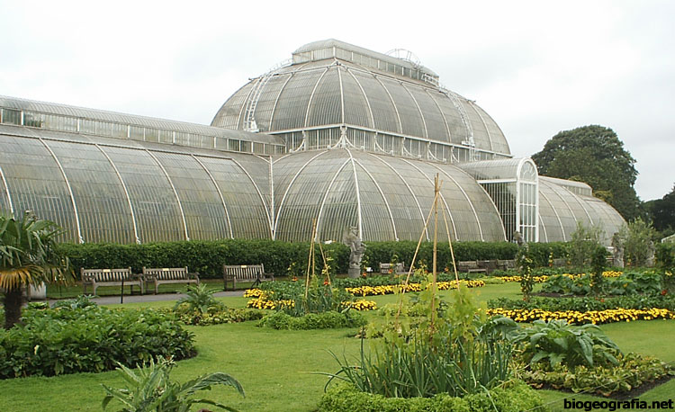 Kew Gardens