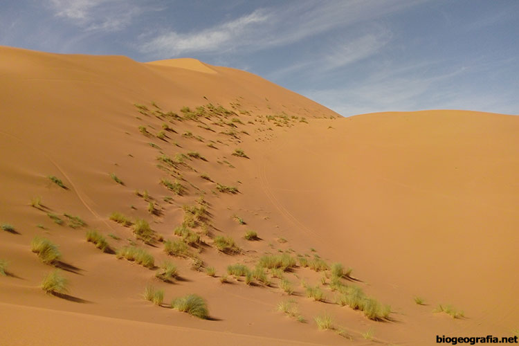 Desierto de Merzouga