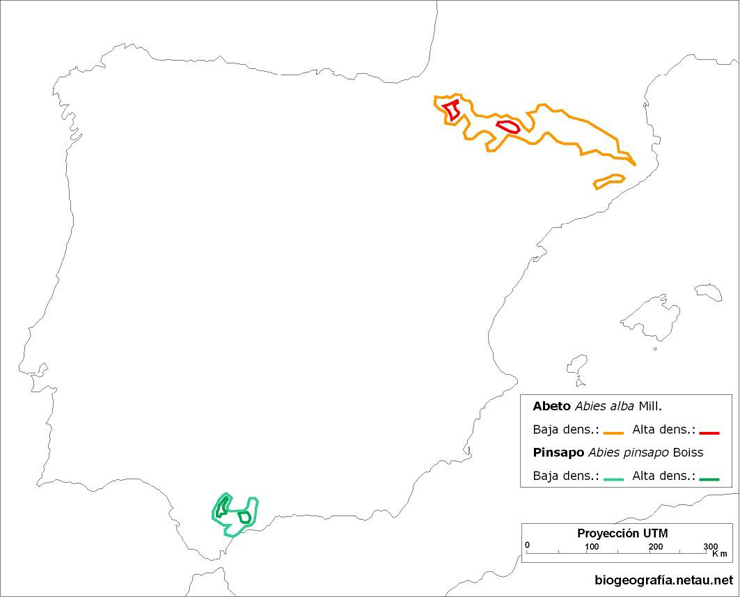 Mapa de líneas