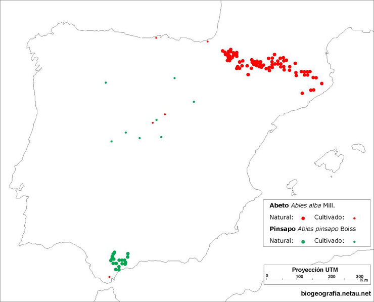 Mapa de puntos