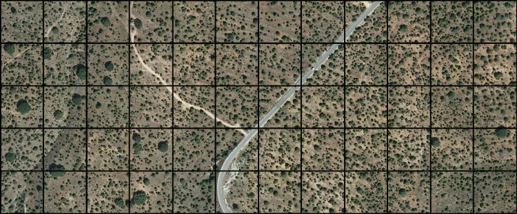 Cuadrícula de 50m x 50m sobre un sabinar-enebral
